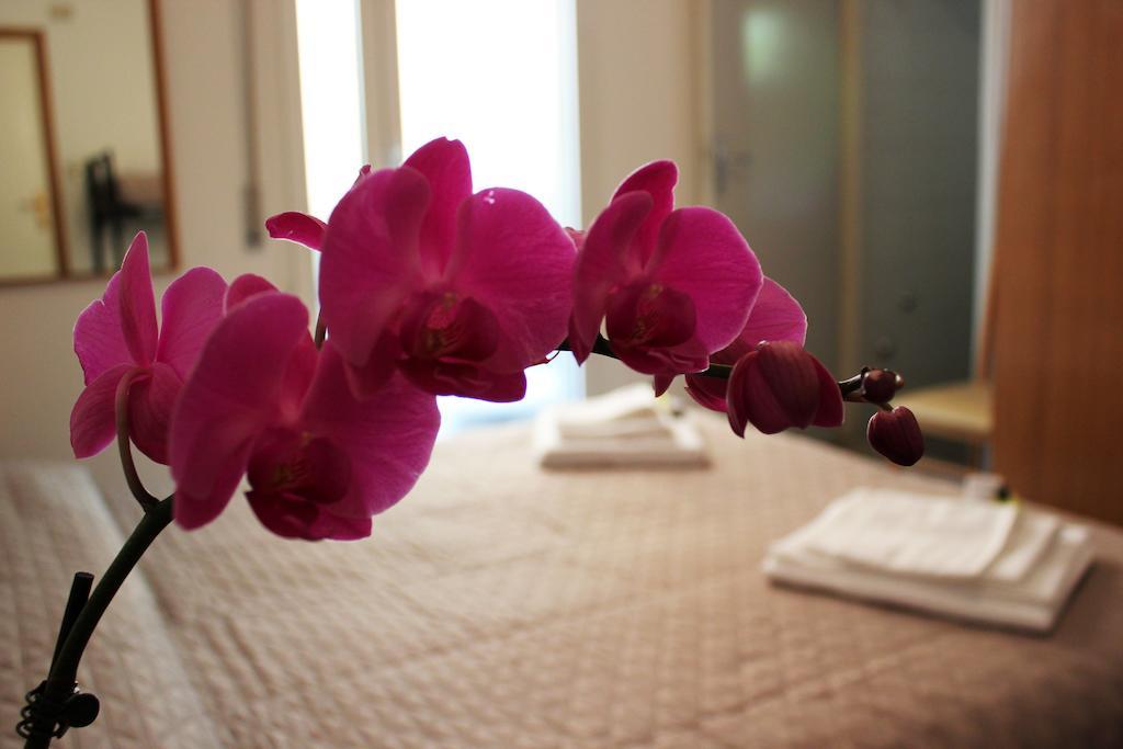 Hotel Leda 리미니 객실 사진